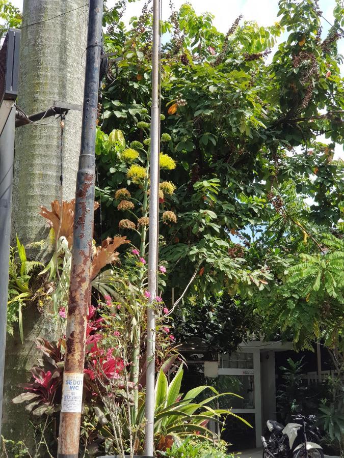 La Nostalgie Boutique Guest House Bandung Exterior photo